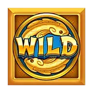 Wild symbol