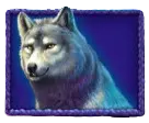 Wolf wildlife symbol