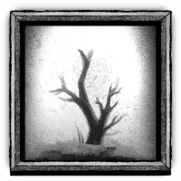 Wild symbol