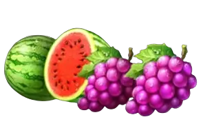 Watermelons & grapes symbols