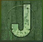Card symbol jack