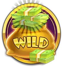 Wild Money Bag Symbol