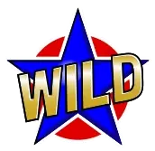 Wild symbol in Hot 27
