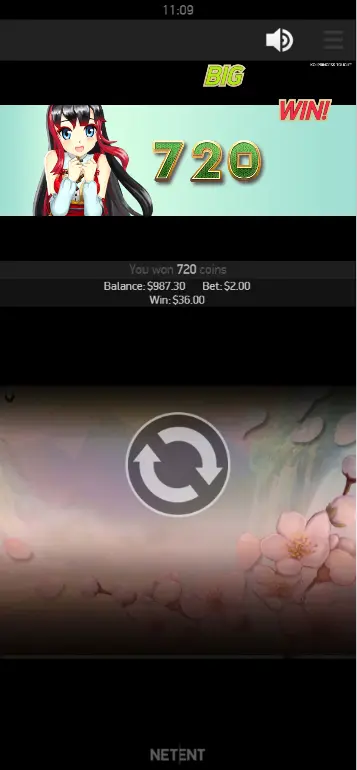 Koi Princess wild reels free spins showing multiple full wild reels covering the grid