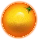 Orange symbol Lucky Joker 10