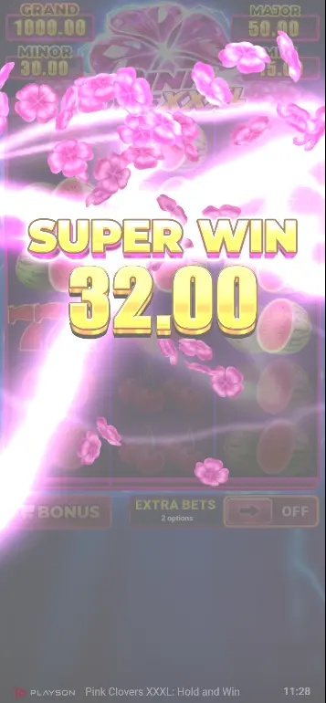 Pink Clovers XXXL Hold and Win Bonus Game with Cell Multipliers