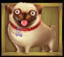 Pug dog symbol