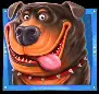 Rottweiler dog symbol